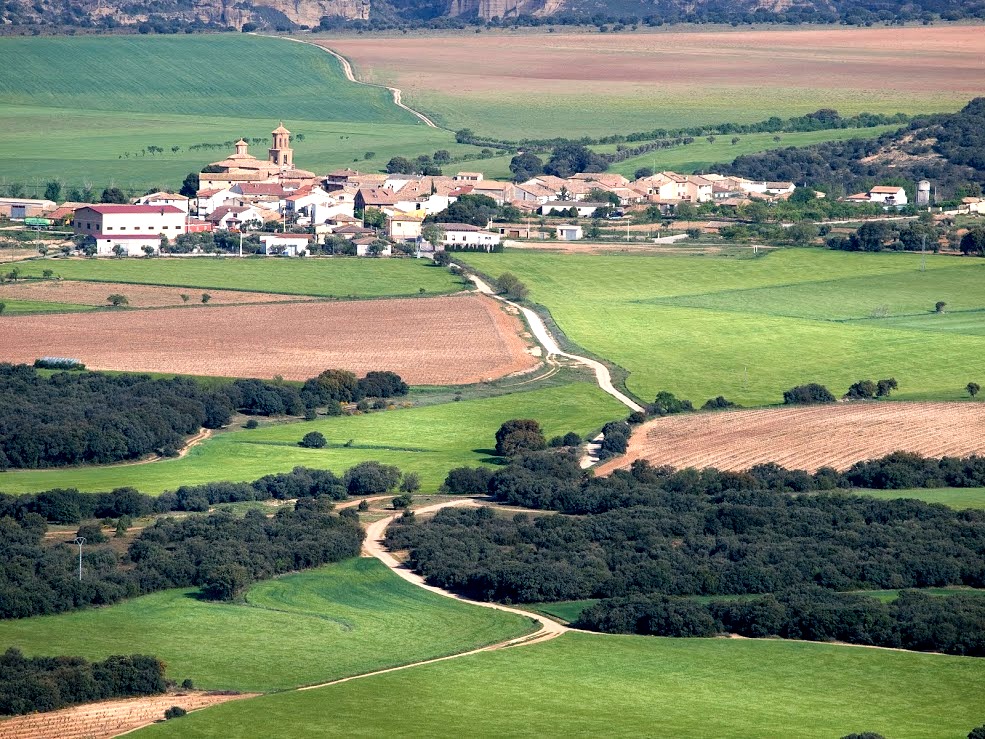 Barbuñales. Foto: José María Puig