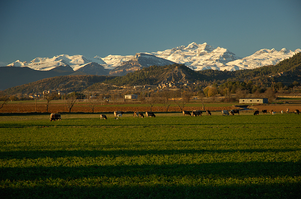 Gerbe. Foto: Jon Izeta (Archivo Fotográfico de la Comarca de Sobrarbe)