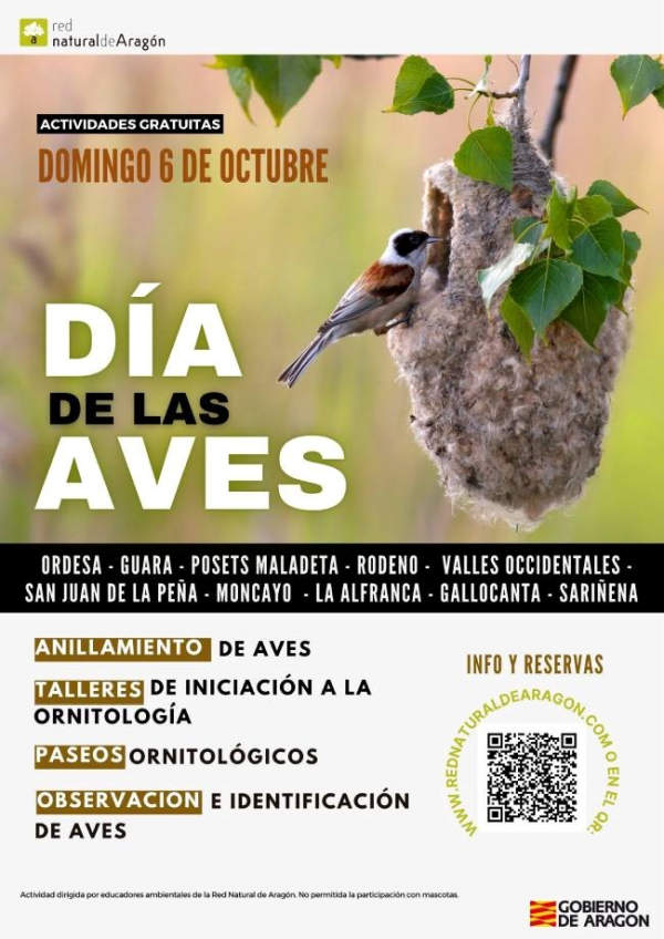 Día Mundial de las Aves